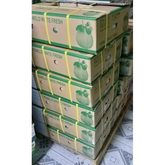 HIGH QUALITY GREEN SKIN POMELO FROM VIET NAM