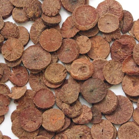 WHOLE DRIED BETEL NUTS FROM VIETNAM WITH COMPETITIVE PRICE AND HIGH QUALITY EXPORT IN 2022