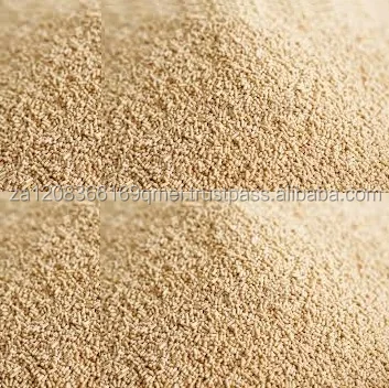 High Quality South African Instant Dry Yeast