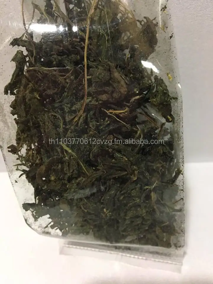 Dried Holy Basil / OEM / 100% Natural Best Quality / Product of Thailand / No Pesticide / Food Grade / Herbal