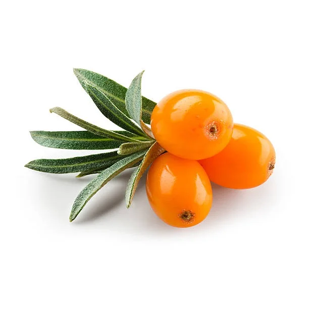 Get Sea Buckthorn Carrier Oil at bulk prices