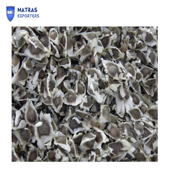 Best moringa seeds for Oil   - Whatsapp: +91 73580 94554