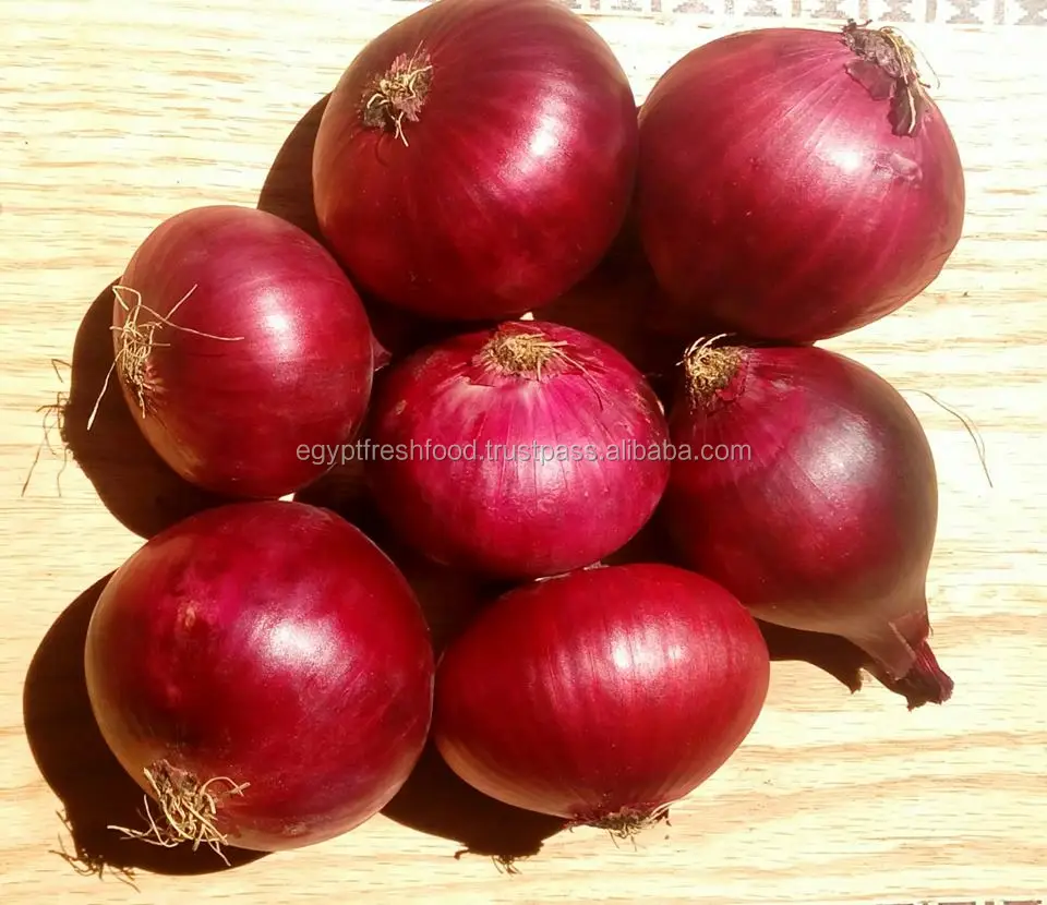 Red Onions from Egypt high quality season 2023 fresh crop , best prices to worldwide , immediate delivery