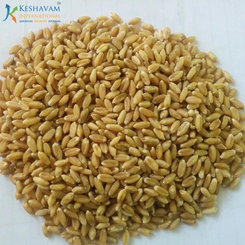 Best Quality Milling Wheat