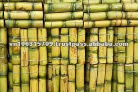 Certified Quality MSDM Sugar cane molasses (brix min 75%) Animals Feed With 20MT  Flexitank