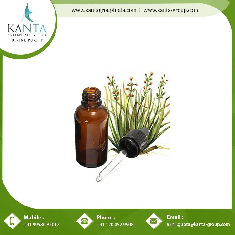 Private Label OEM / ODM Bulk Supply Citronella Java Oil  Manufacture in India bulk Supply From Indian Supplier