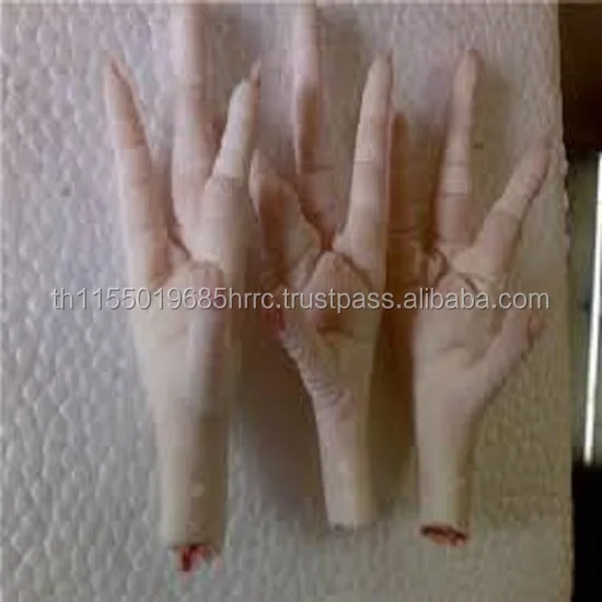 Frozen Chicken Feet and Paws for export