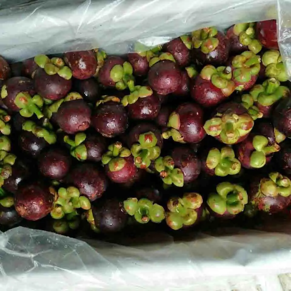 Best Price for Fresh Mangosteen Origin Vietnam// Ms Annie /WHATSAPP +84 396986490