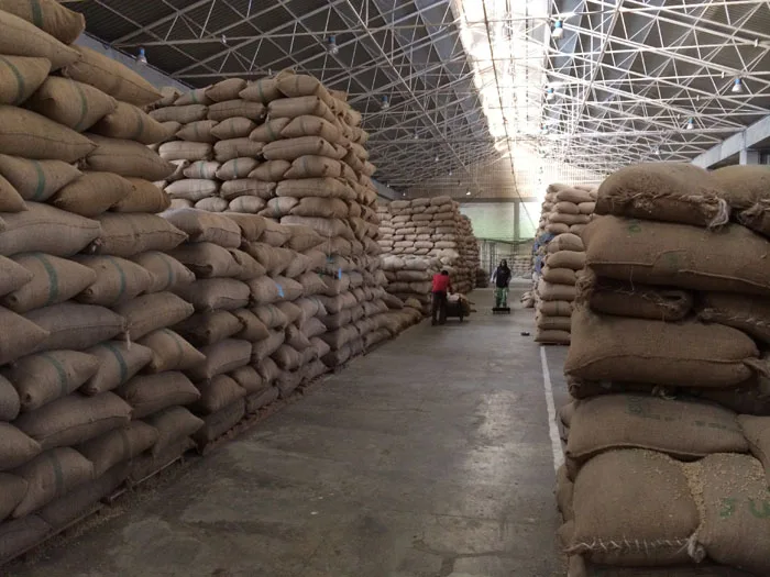 
2021 Sweet California Almonds Available 