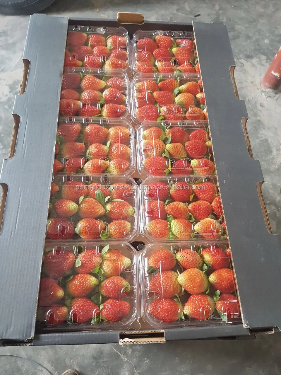 fresh strawberry price 2023