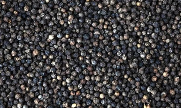 HOT SPICES BLACK PEPPER SEED 500 G/L SPIRAL CLEANED HANFIMEX TOP VIETNAM BRC FACTORY PRICE HIGH QUALITY  WhatsApps 0084374074818