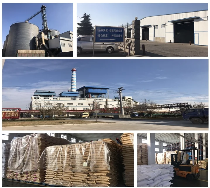 Export Manufacturer Food Grade Xingmao Brand Maltodextrin DE10-12,DE10-18