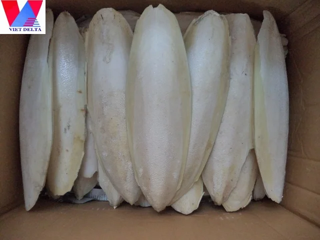 
CUTTLE FISH BONE / HIGH-QUALITY ANIMAL FEED / HAI PIAO XIAO 
