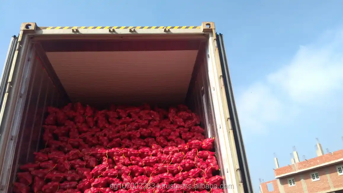 fresh red ONION , yellow onion , Egypt onion to Pakistan