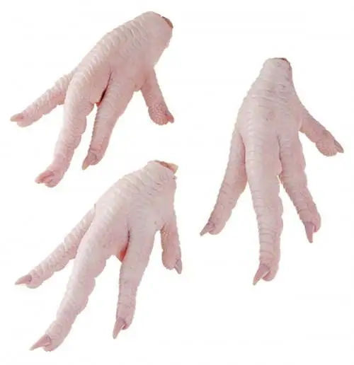 CLEAN A GRADE CHICKEN FEET / FROZEN CHICKEN PAWS BRAZIL