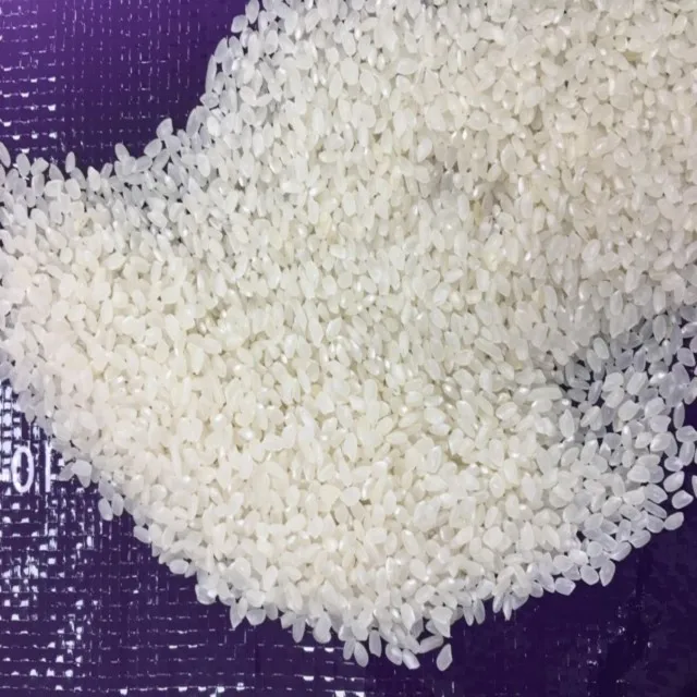 3% BROKEN CAMOLINO RICE WITH GOOD PRICE