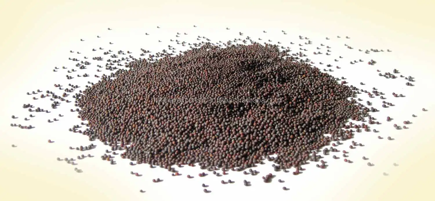 Высококачественные горчичные семена