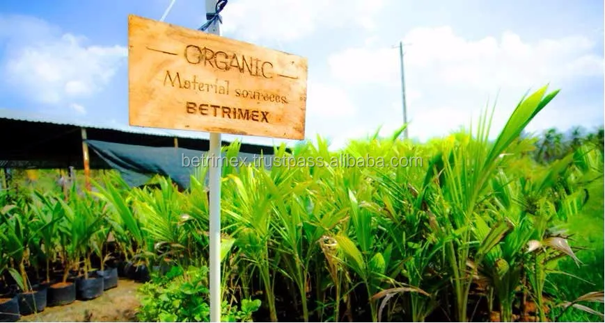 ORGANIC COCONUT WATER _ TETRA PAPER ASEPTIC