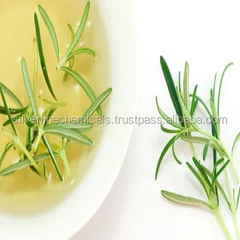 Essential oil 100% pure of highest quality Rosemary Essential Oil