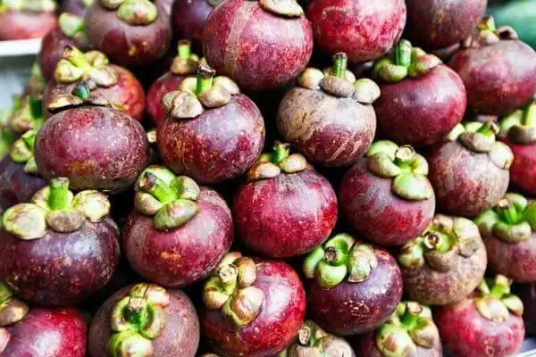 Best Price for Fresh Mangosteen Origin Vietnam// Ms Annie /WHATSAPP +84 396986490