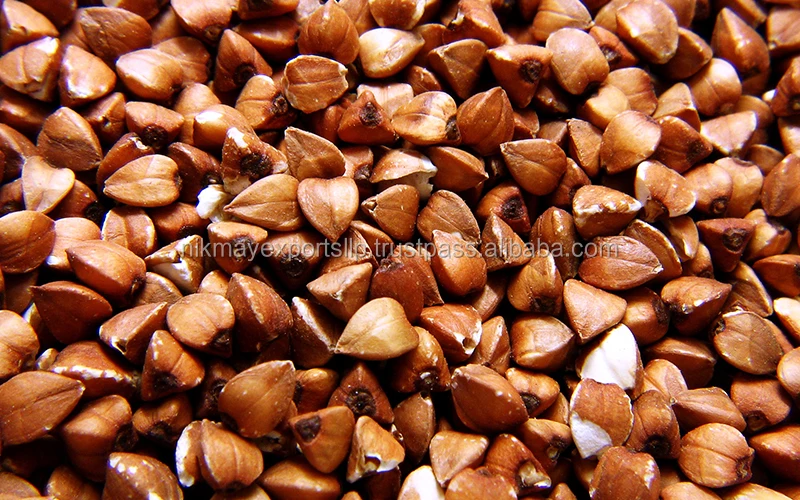 
buckwheat origin INDIA from NIK-MAY EXPORTS LLP 