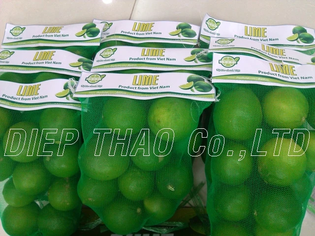 FRESH LIME SEEDLESS/ DRIED LIME SLICES