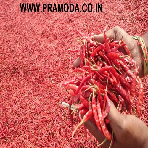 
Factory Supply Red Chili Teja Red Chilli 