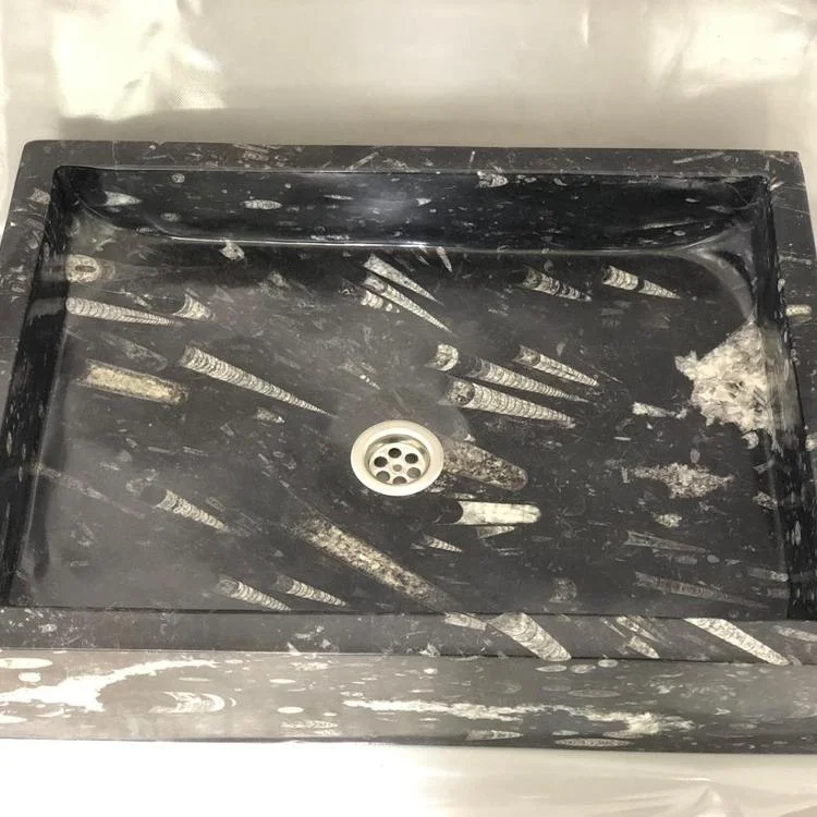 Natural bathroom wash basin fossil Sink