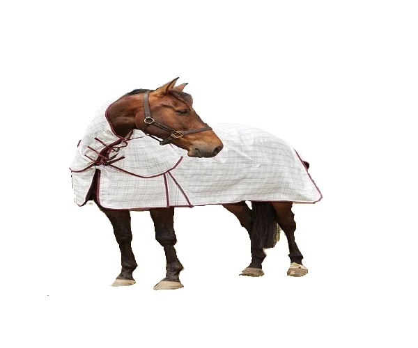 
Grey/White Waterproof Combo Mesh Fly rug 