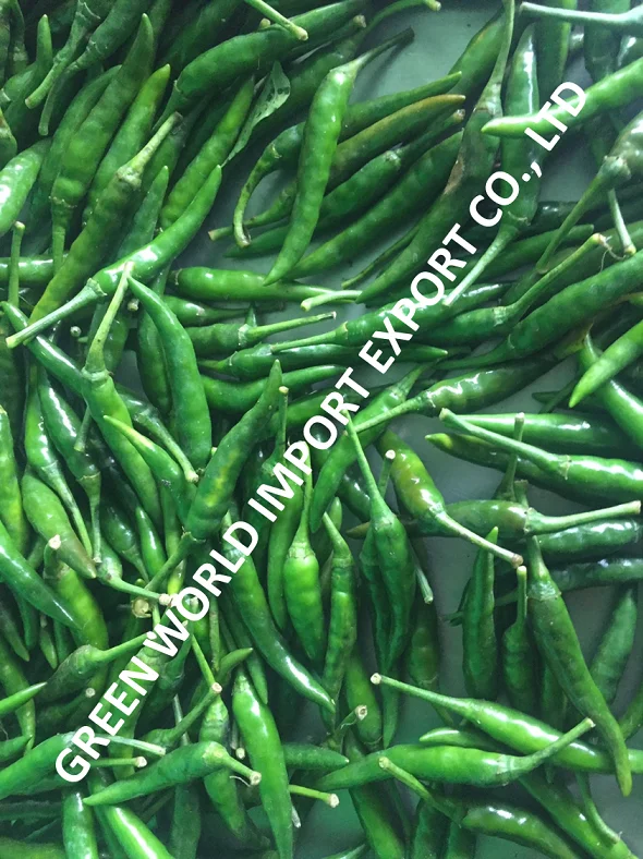 TOP cheap price FROM VIETNAM: BEAUTIFUL FROZEN GREEN CHILLI: HOT AND NATURAL SPICY, BEST FOR SPICY FOOD
