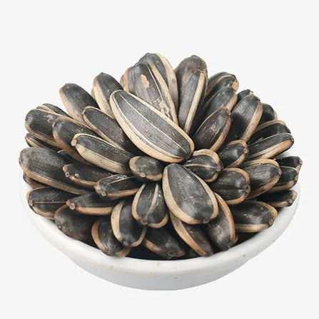 
Sunflower Seed for Sale at Low Price 