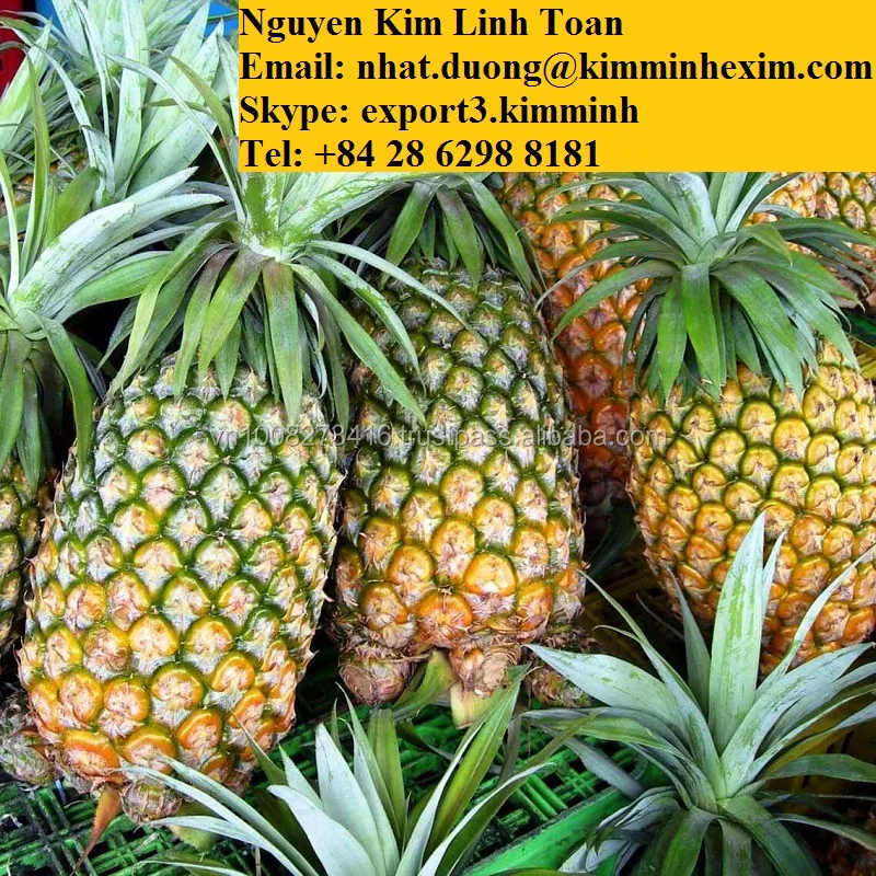 
Свежий ананас/свежий Королевский ананас  (50038156009)