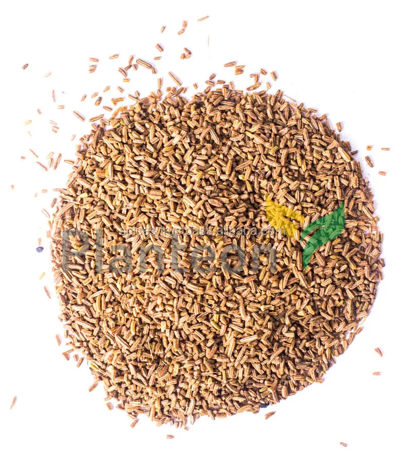 Caraway seeds crushed - Carum carvi - Poland