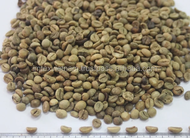 VIETNAM ROBUSTA COFFEE SCREEN S18 ( WHATSAPP: 0084 164 9078 009 )