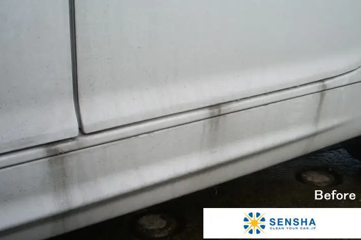 Tough water stain remover SCALE CLEAN (strong) 20L by SENSHA