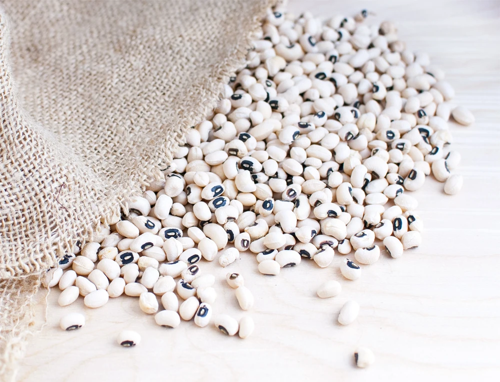 haricot beans, kidney beans natural beans from Uzbekistan