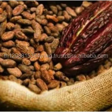 Good quality Dried Grade A Cocoa/ Cacao/ Chocolate bean Best Price