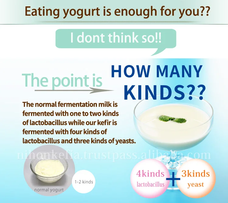 
Nutritious yogurt maker , kefir starter culture , for home use , enzyme also available 