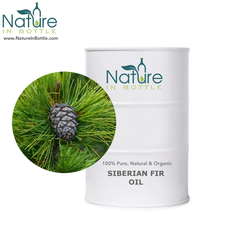 Siberian Fir Needle Essential Oil | Organic Abies sibirica Needle Essential Oil - 100% Pure and Natural - Bulk Wholesale Price