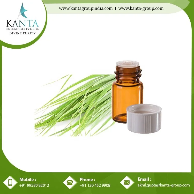 Natural Citronella Java Oil Perfume Making Citronella Oil Aroma Essential Citronella Oil From India