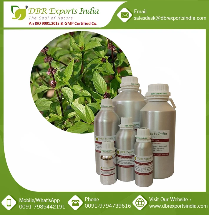 Holy Basil Oil Whole sale supplier from India Bulk Holy Basil Oil at wholesale price Exporter of Holy Basil Oil