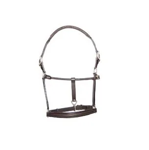 Best Quality Leather Horse Halter Available In Many Colors For Horse Riding Use Manufacturer