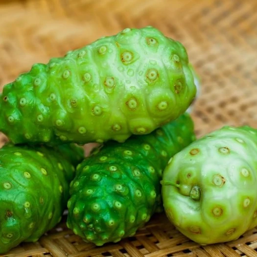 
FRUIT EXTRACT POWDER FOR FOOD INDUSTRY THE BEST PRICE 