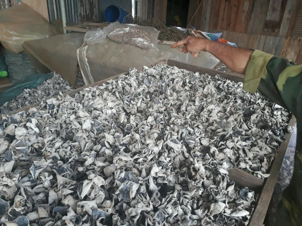 dried wood ear mushroom/ dried mushroom / black mushroom Vietnam in 2020