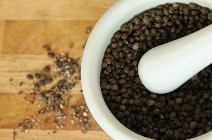 
PAW PAW HEALTHY SEEDS EDIBLE PAPAYA SEED FOR HEALTH/HEALTHY NATURAL PAPAYA SEEDS FOR EXPORTING 