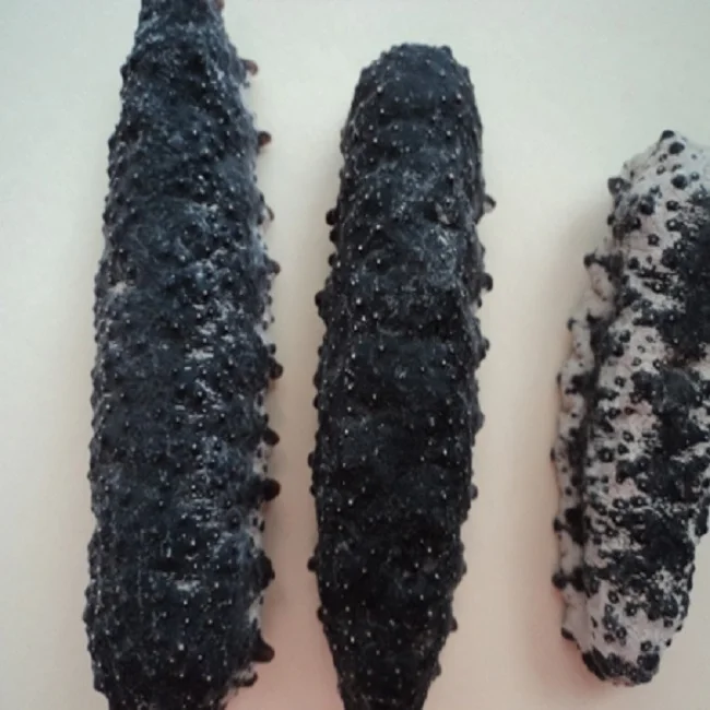 vietnam dried sea cucumber