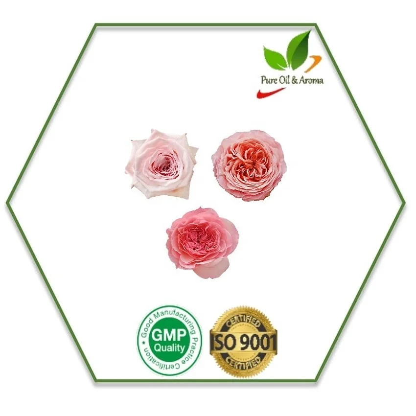 Wholesale Rose Bulgarian oil ISO Certified Natural Bulgarian Rose oil for Aromatherapy Bulgarian Rose Extract Pure Essential oil