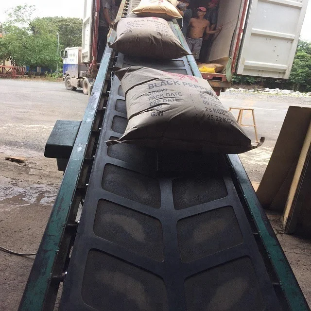 Black Pepper 500GL High Quality Dried Raw Asta from Vietnam for Export to EU Market Ad-Dried Process Used