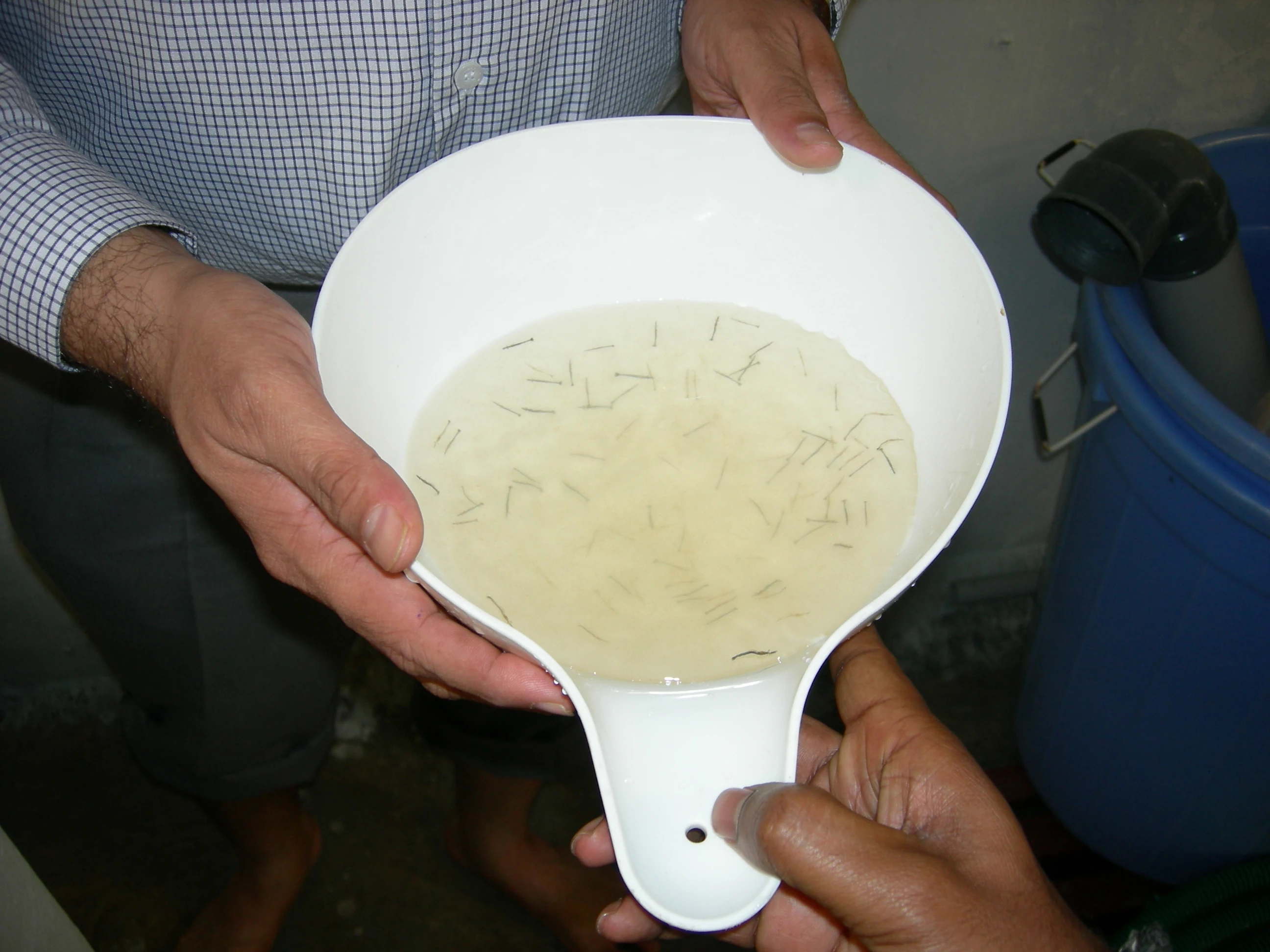 Chemical free and organic tilapia fish feed probiotics for hatchery eggs