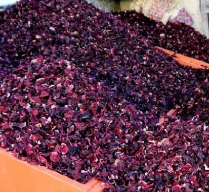 Best Quality Dried Hibiscus Flower/Dried Hibiscus Extract Powder